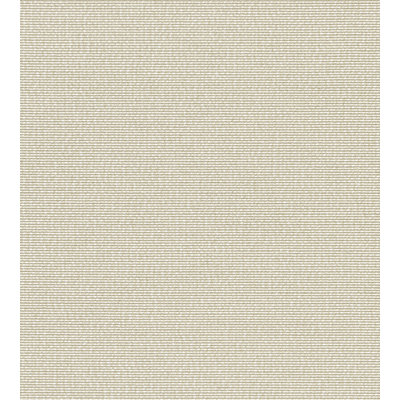Arena Fabric