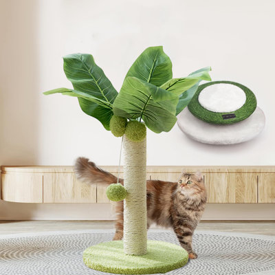Grattoir petit chat, grattoir en sisal avec 3 pompons suspendus pour chats d'intérieur