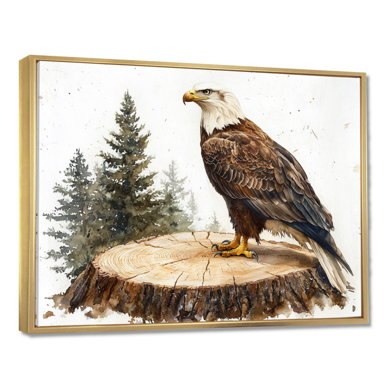 Gillean Eagle Silent Vigil In Summer - Eagle, art mural, H 30 po x l 40 po, Impression encadrée flottante, Doré