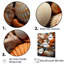 «Classic Seashells By The Sea I», reproduction sur toile-1167930290-1167930303