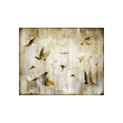«Sunset Flight» par Zoey Riley - impression