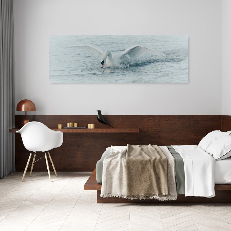Cygne blanc, éclaboussure, sérénité, sérénité, oiseau, faune, H 20 po x l 60 po
