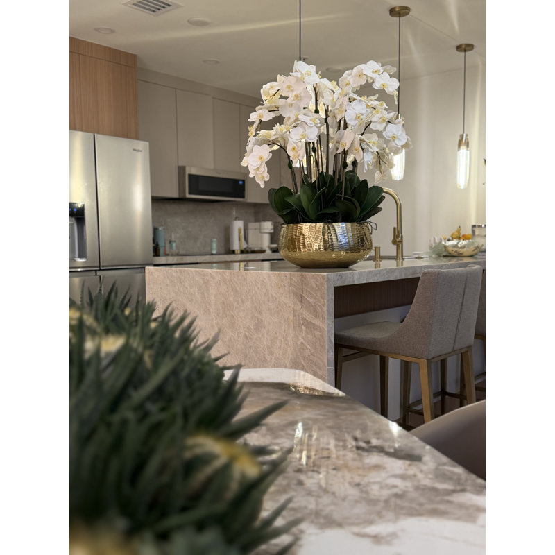 Roberi bowl with multiple stems of white Phalaenopsis orchids, White, 38" H x 22" W x 22" D