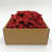 Preserved Reindeer Moss in Red-2137823792