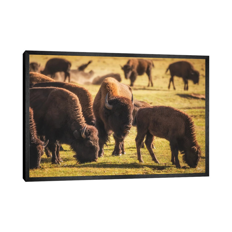 Big Beef by Peter Coskun - Floater Frame Gallery-Wrapped Canvas Giclée on Canvas, Black Framed Canvas