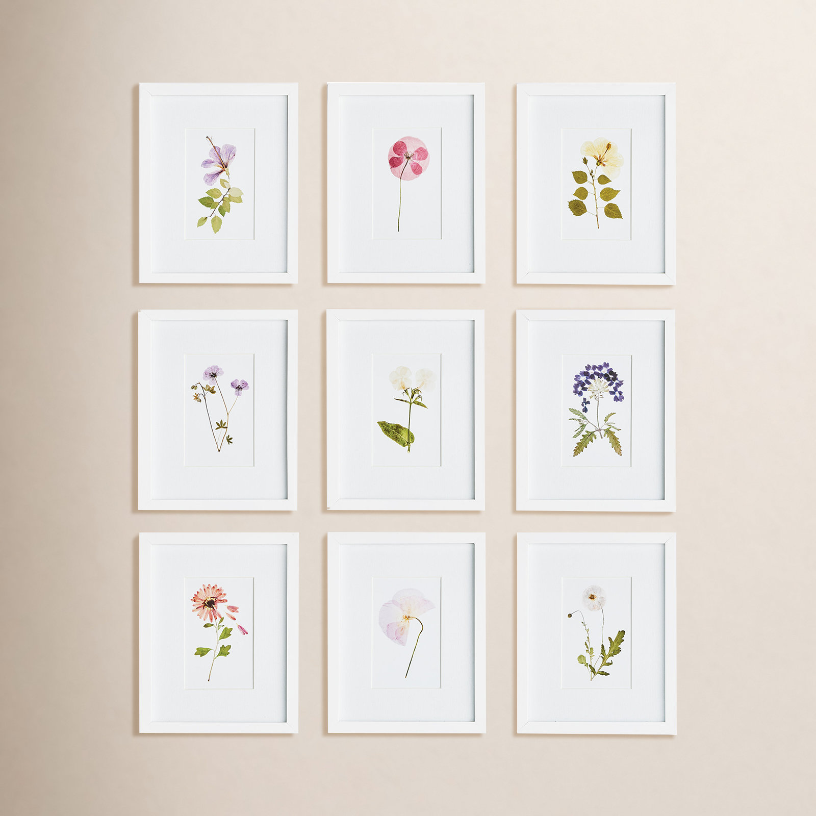 Mountain Flower Petite 9-Piece Print Set