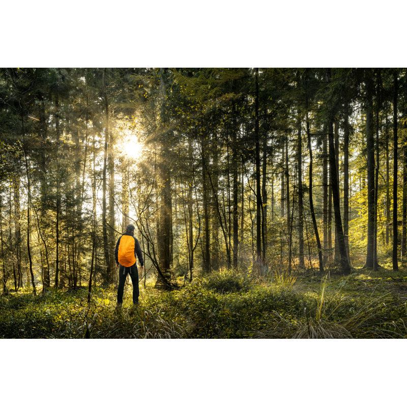 Hiking In Forest by Mixedreality - Wrapped Canvas Print, 20cm H x 30cm W