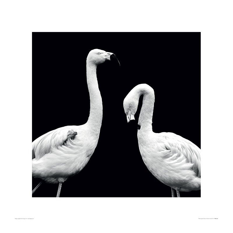Marina Cano - No Frame Print, 40cm H x 40cm W