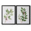 «Winter Botanical I», ensemble de 2 reproductions d'art-632441871-632441881-632441896