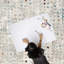 Tapis ivoire Pedaias Patchwork-1678029540