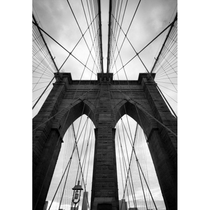 Concrete Jungle V Print by Sofia Fox, Outdoor, 35" H x 24" W x 1.5" D
