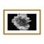 Nature Inspired Poppy in Mono by  - Picture Frame Photograph on Paper-81388141-131284514-131291962