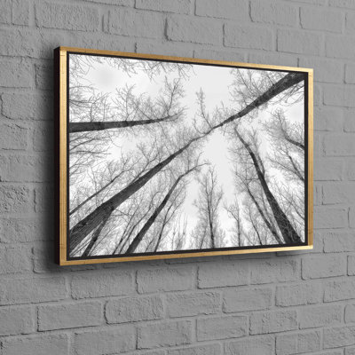 Print on Canvas