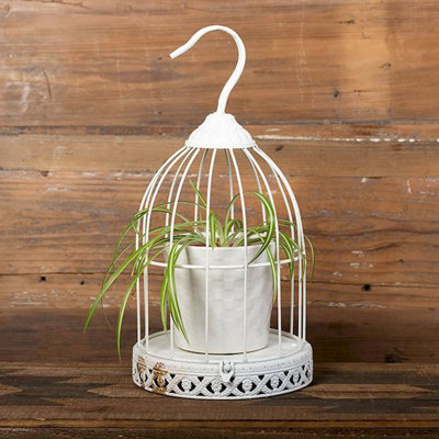 Cage à oiseaux suspendue