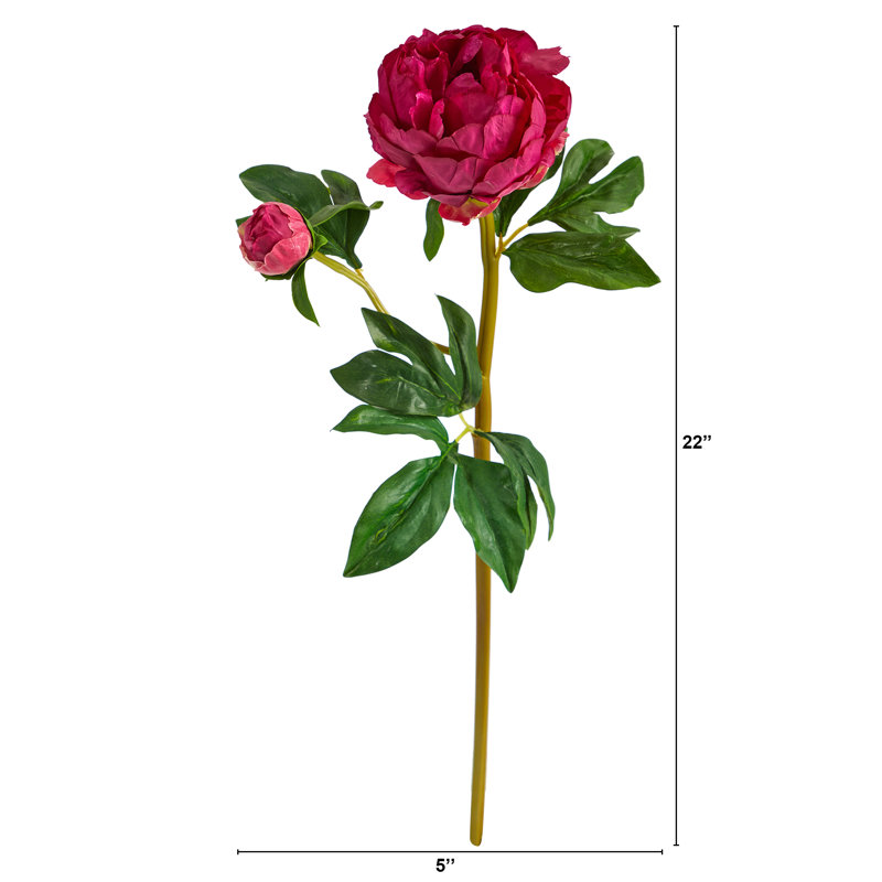 Peony Arrangement, Fucshia