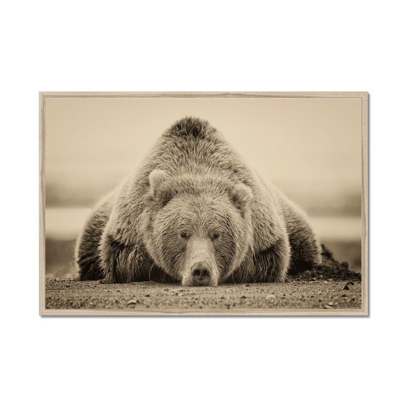Deep Sleep by PHBurchett - Print, 65cm H x 95cm W, Natural Wood Framed Paper Print