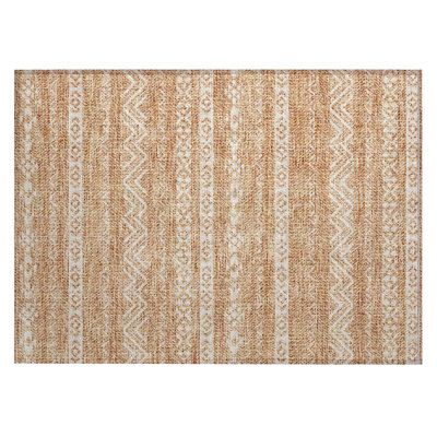  Cean Non-Slip Door Mat