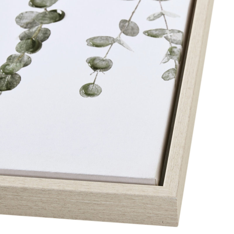 Décoration en eucalyptus encadré pour mur de chambre à coucher - ajoute un élément élégant avec 2 supports