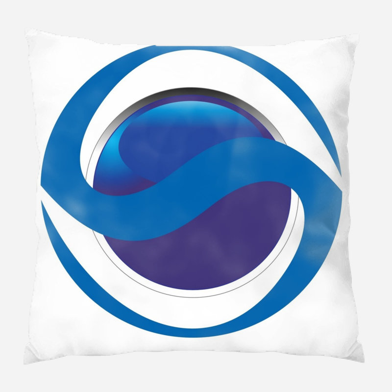 Coussin professionnel