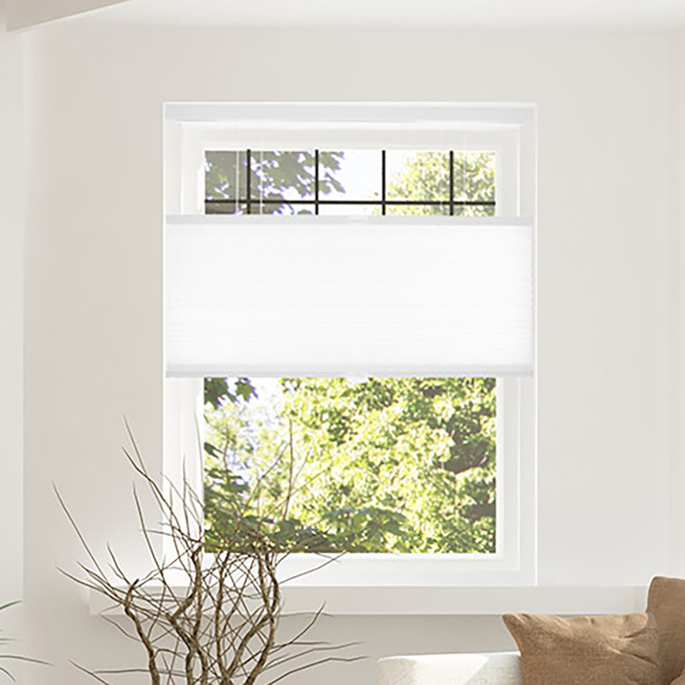 Cordless Blackout Cellular Shade