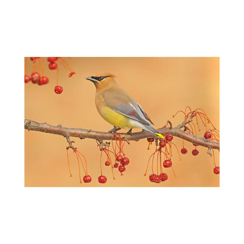 Picking Berries by Brian Wolf - Wrapped Canvas Print