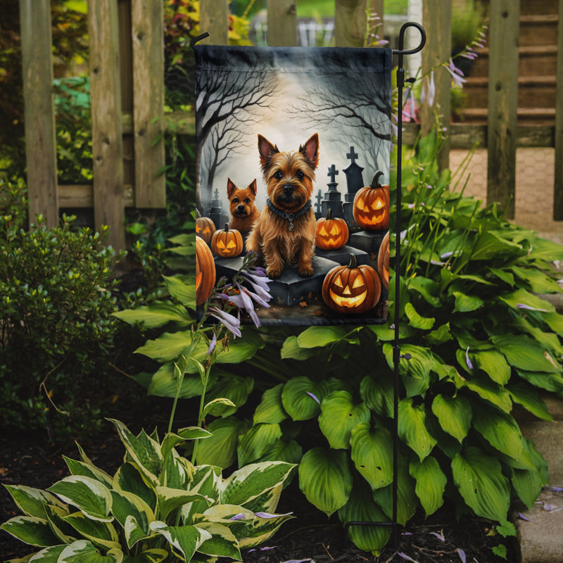 Drapeau du jardin d'Halloween Norwich Terrier Spooky