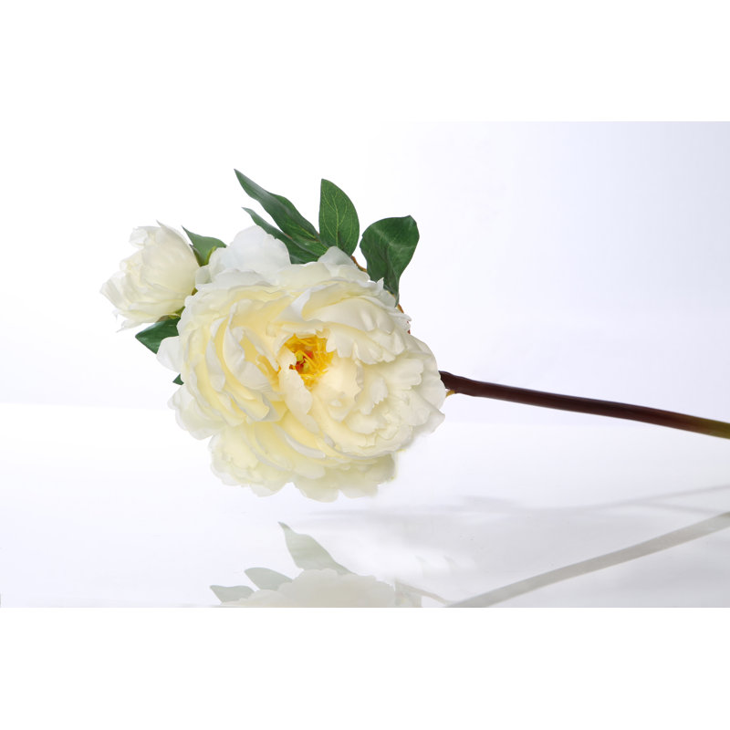Peony with bud, White