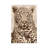 Leopard by Andrew Cooper - Wrapped Canvas Painting-1547473900