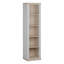 PONTYPOOL 203.3 cm H x 53.1 cm W Bookcase