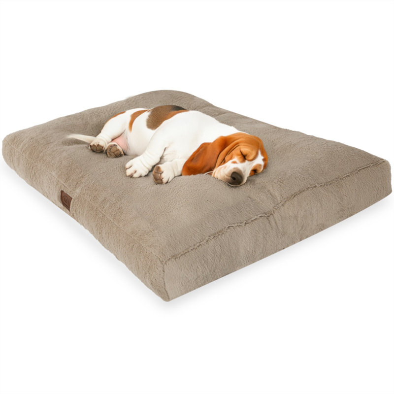 Jungolica Orthopedic Pet Bed, 55cm H x 45cm W x 7cm D, Beige