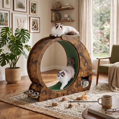 Roues de chat 4 en 1 pour chats d'intérieur, grande roue d'exercice pour chat de 40 pouces, roue de tapis roulant avec piste recouverte de tapis, griffoir