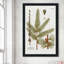 Mélèze botanique par Kelly Donovan - Peinture-1378377533-1378377510