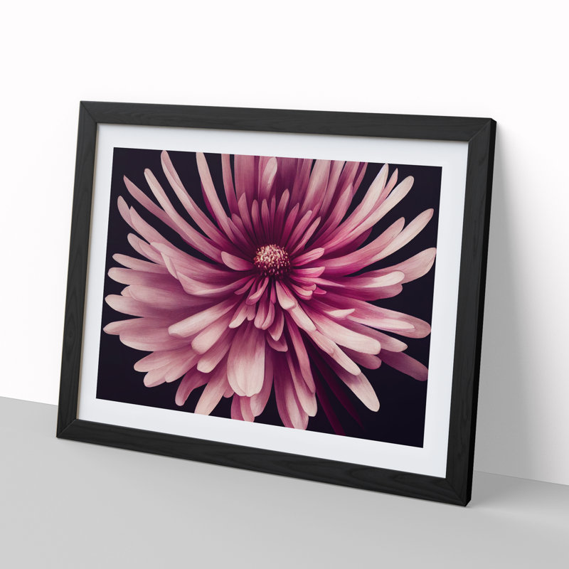 Irresistible Chrysanthemum Flower - Framed Print, Black, 46cm H x 64cm W x 2cm D