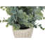 Plante 12,5 po Mcclain