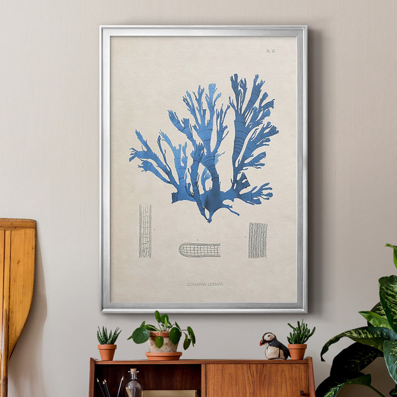 Blue Marine Algae IX, reproduction encadrée de qualité supérieure - prête à être accrochée, H 42,5 po x l 30,5 po x P 1 po