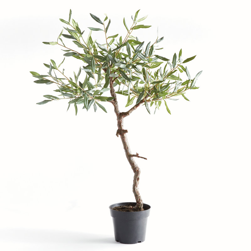 Montecito Faux Olive Tree in Pot Liner