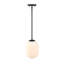 Luminaire suspendu simple à 1 lumière Kiani-157171230