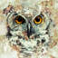 «Owl II», estampe numérique sur toile tendue avec châssis-21402846-71512094
