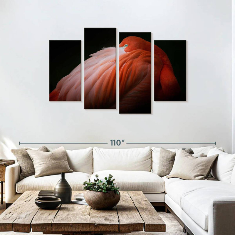 Brampt timide flamant rose