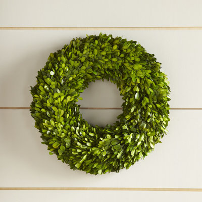 Preserved Boxwood Wreath - 16 Inch
