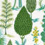 Pandora Embroidery Fabric