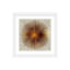 «Bronze Sunburst I» par Abby Young - impression d'art graphique-49899594-49899604