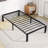 Lutherville 14" Steel Bed Frame With Mattress Topper with 3 inch Tri-fold Foam Mattress, Suitable For Apartment-1799152148