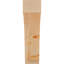 Attelle impériale du genou-31229276-29309855-31229277