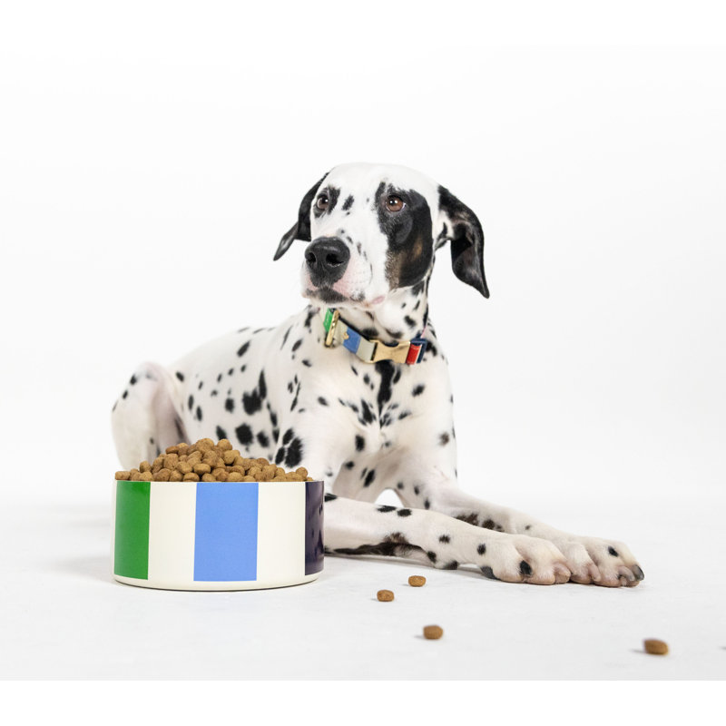 Dog Bowl, Adventure Stripe, Medium (2.88"), Medium(4 Cups/32 fluid oz), Small (2.13")