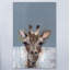 «Bonjour Giraffe», reproduction sur toile tendue-27175416