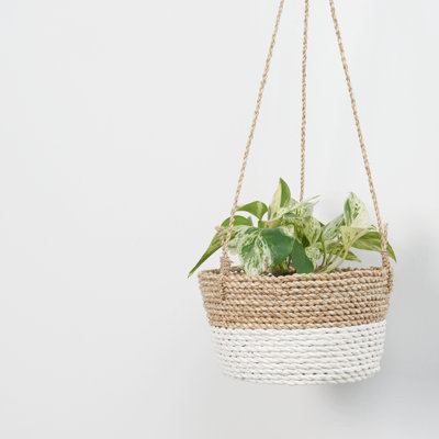 Bay Isle Home™ Seagrass Basket