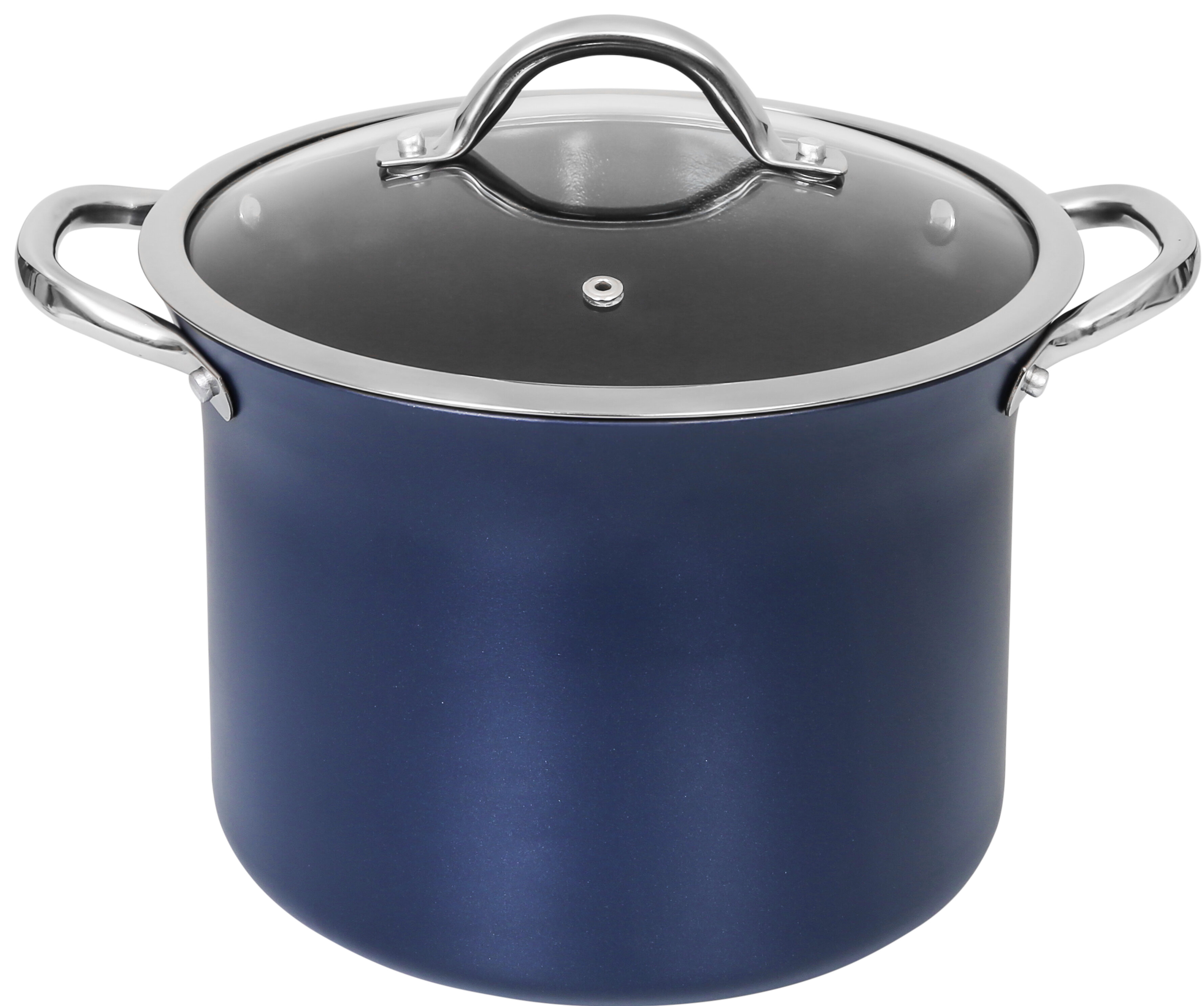 CONCORD Stainless Steel Stock Pot with Glass Lid (Induction Compatible)  ((10 QT)