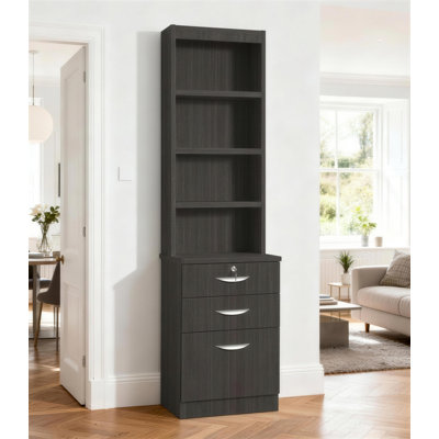 Cormac 48cm Wide 3 -Drawer File Cabinet