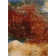 Straun Floral Indoor Rug